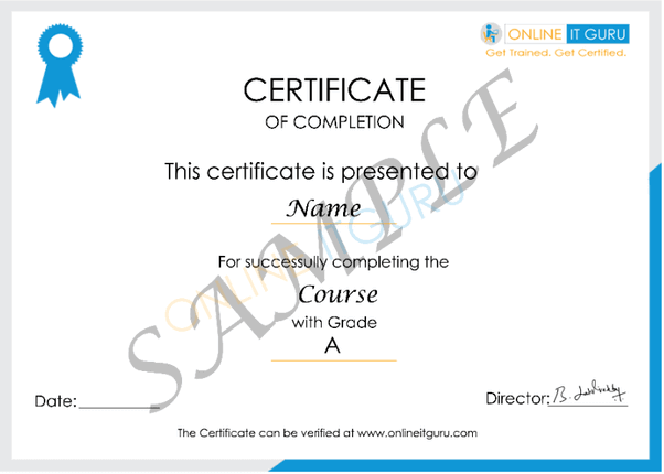 Online IT Guru Certificate